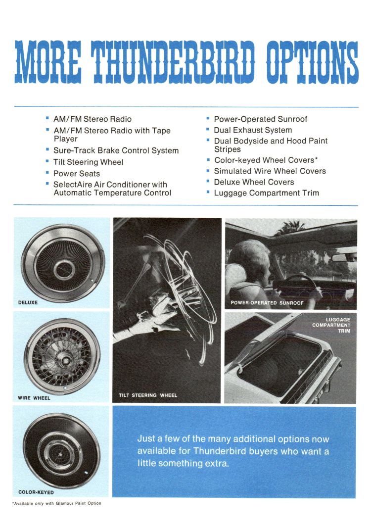 n_1974 Ford Thunderbird Facts-06.jpg